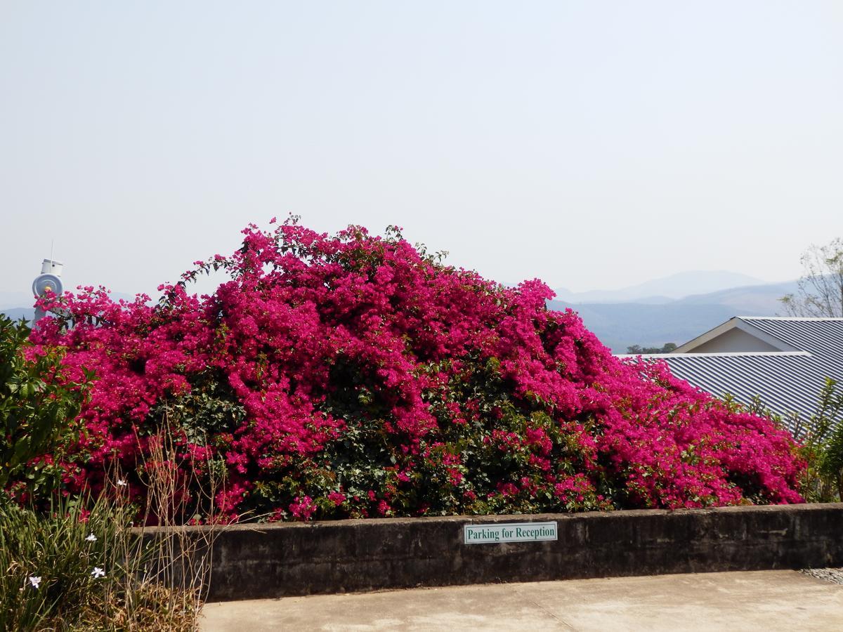 Sunset View Guest House Piggs Peak Ngoại thất bức ảnh